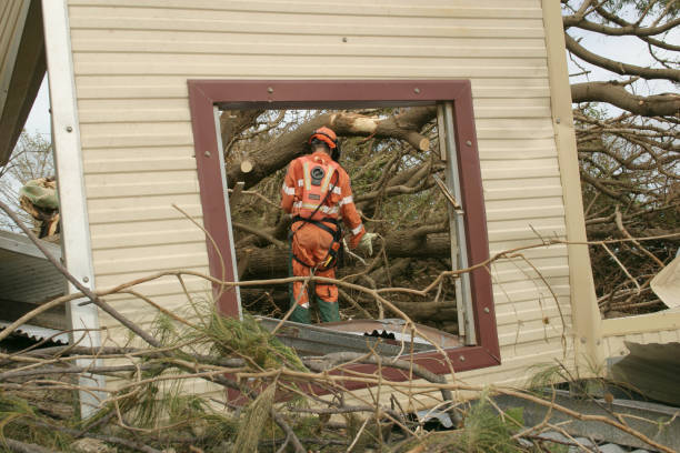 Best Fruit Tree Pruning  in South Hill, VA